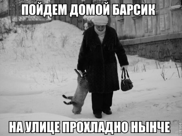 ... - 28  2016  23:02