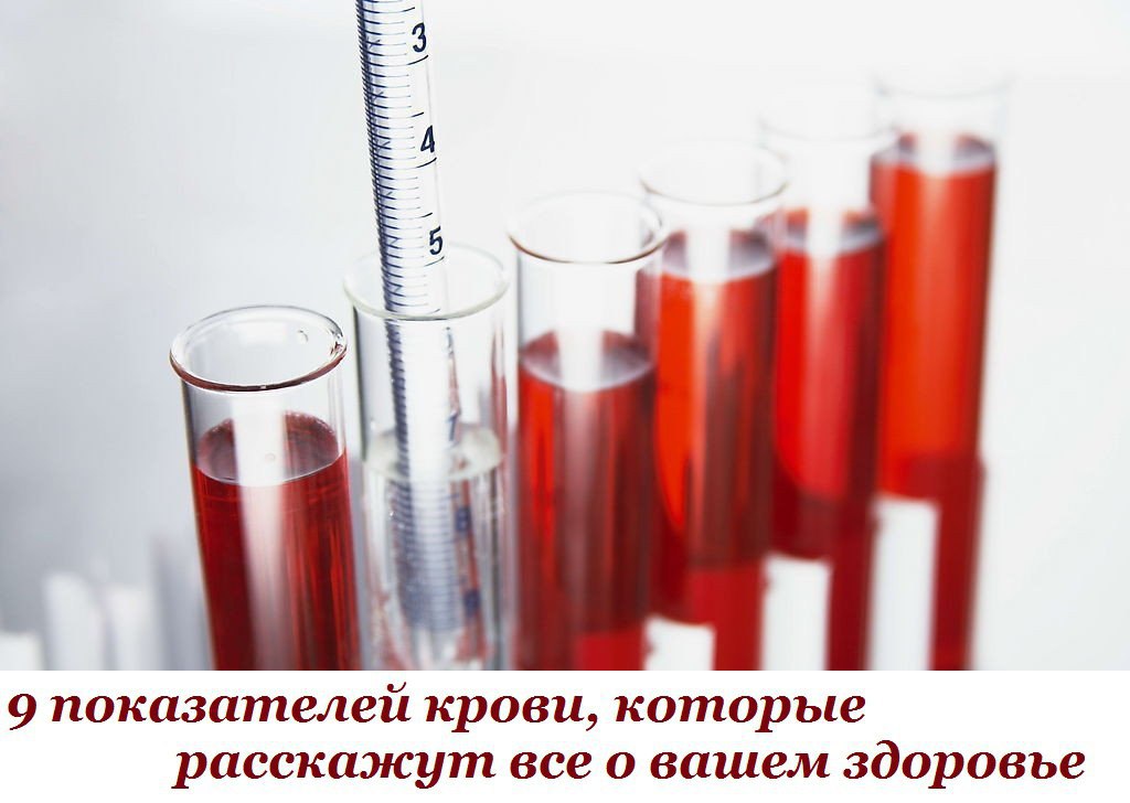 9 показателей крови, которые расскажут все о вашем здоровье.Итак, что же говорит нам наша кровь? ...