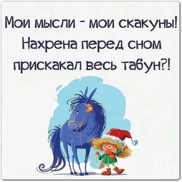   - 29  2016  21:08