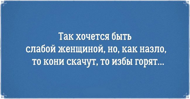  - 28  2016  21:01