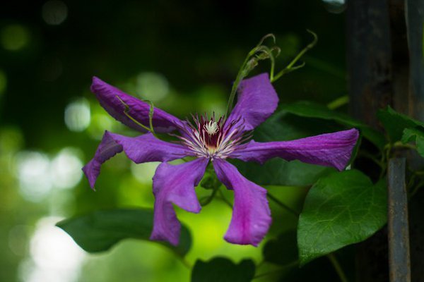    - 11  2016  04:29 - 2