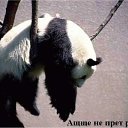 ���� ����������, �������������, 47 ��� - ��������� 25 ���� 2016 � ������ ������ ��������