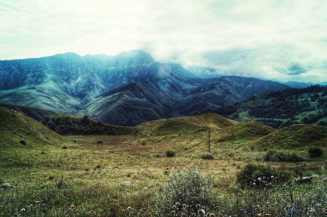     -    amiruzden. - 2