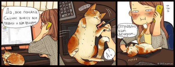 Art & Fun - 7  2016  17:36