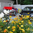 ���� Viktor, ������, 61 ��� - ��������� 23 ���� 2016 � ������ ���� ����������