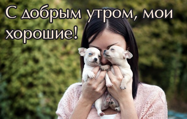 ,  !!!!!))))