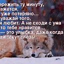 ���� ������, ������, 66 ��� - ��������� 2 ������ 2016 � ������ ���� ����������