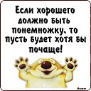 ���� ������, ���������, 49 ��� - ��������� 27 ���� 2016 � ������ ���� ����������