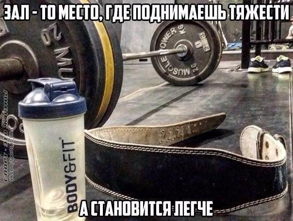  -   - 8  2016  06:12