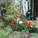 ���� �����, ���������, 49 ��� - ��������� 13 ��� 2016 � ������ ���� ����������