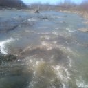 ���� ���������, ������, 49 ��� - ��������� 27 ����� 2016