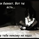 ���� ��������, ��������, 57 ��� - ��������� 5 �������� 2016 � ������ �������