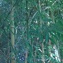 ���� Nathalie, �����-����� - ��������� 23 ������ 2016 � ������ ������ ��������