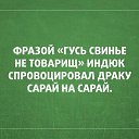 ���� ������, �����, 41 ��� - ��������� 7 �������� 2016 � ������ ������ ��������