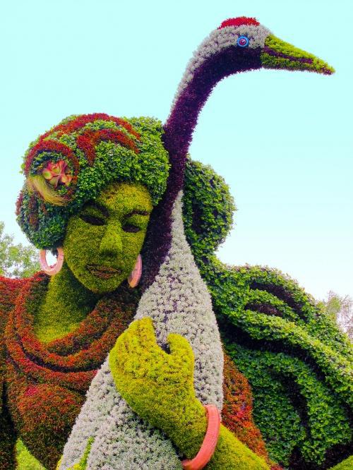    .     Mosaiculture, ... - 16