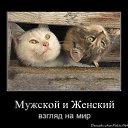 -     -..      !    
