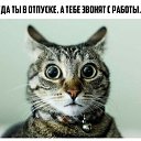 ���� ��������, ������������ - ��������� 19 ���� 2016 � ������ ������ ��������