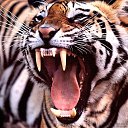 ��������.... �� ������� ���� ����������