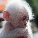 ���� ����, �������, 43 ���� - ��������� 8 ���� 2016 � ������ ���� ����������