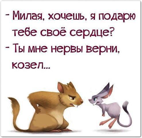   -  ,  -  - 1  2016  07:57