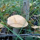 ���� ���������, ����, 69 ��� - ��������� 13 ������� 2016