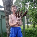 ���� ������, �����������, 47 ��� - ��������� 14 ������ 2016 � ������ ���� ����������