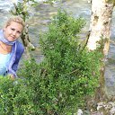 ���� ����, ���������, 41 ��� - ��������� 27 ������ 2016 � ������ ���� ����������