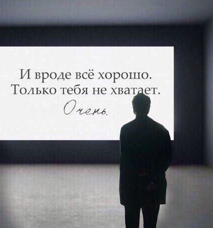   -  ,  -  - 23  2016  09:05