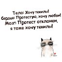  , --, 62  -  6  2016    