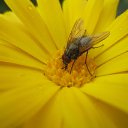 ���� St., ������, 59 ��� - ��������� 2 ������� 2016 � ������ ������-���� 2016�