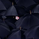 ���� �����, ������, 59 ��� - ��������� 1 ���� 2016 � ������ ������ ��������