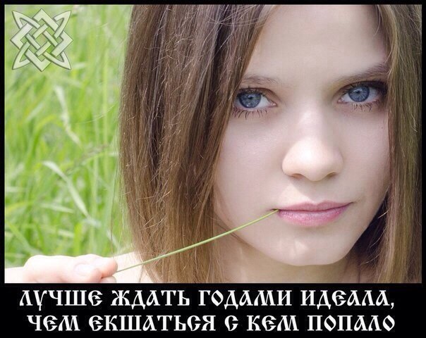�������� ����� ��������... ������������ �� ������ ������� ������, � ��������� ����� ���� ������: ... - 14