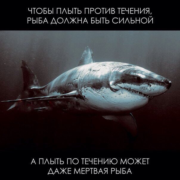    ! - 22  2016  16:09