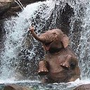 ���� ���������, ������, 61 ��� - ��������� 5 ������� 2016 � ������ ������ ��������