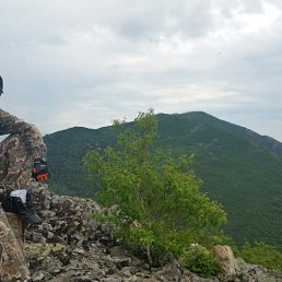 ������, �����������