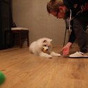 ���� �����, ������, 61 ��� - ��������� 26 ����� 2016 � ������ ���� ����������