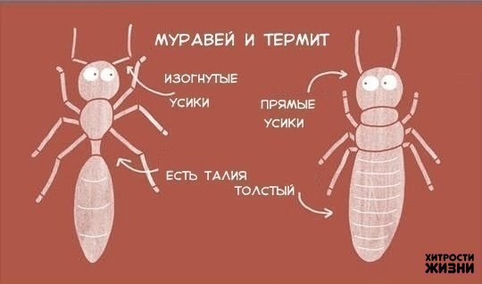   ,   - 2