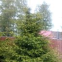 ���� �������, ������� - ��������� 28 ��� 2016 � ������ ���� ����������