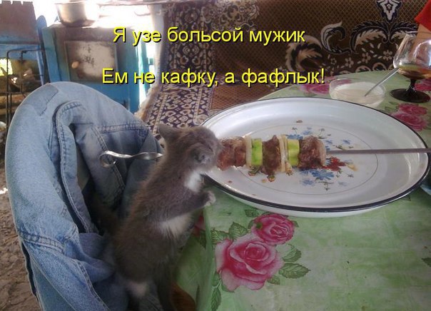       - 5  2016  19:30