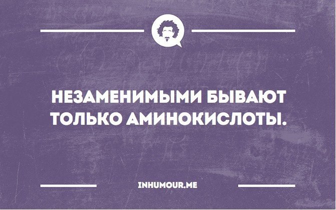   - 13  2016  00:40