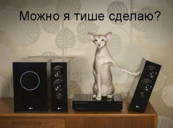    - 28  2016  03:15