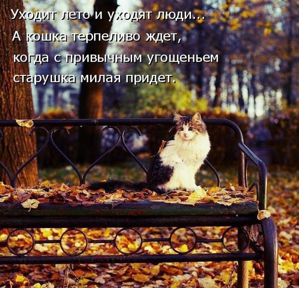    - 13  2016  17:26