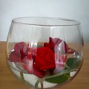 ���� � ������ �� ������� ���� ����������