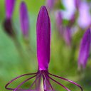 ���� Eric, ����, 61 ��� - ��������� 21 ��� 2016 � ������ �Flora and fauna�