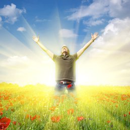 ���-���, �������, 24 ����