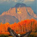 ���� Karl, ������ - ��������� 10 ����� 2016 � ������ ���� ����������