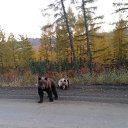 ���� ��������, ���������, 64 ���� - ��������� 7 ��� 2016 � ������ ������ ��������