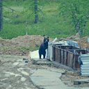 ���� Vadim, ����-������� - ��������� 29 ���� 2016 � ������ ������ ��������