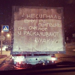 �����������