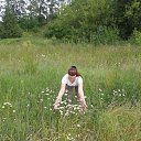 ���� ����, �����, 61 ��� - ��������� 3 ������� 2016 � ������ ���� ����������